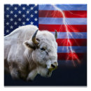 Search for white buffalo posters Western