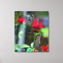Search for balm art Hummingbird