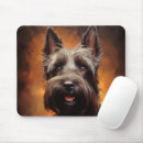 Search for aberdeen electronics Scottie