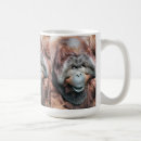 Search for orangutan mugs Primates