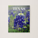 Search for texas puzzles Lupine