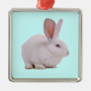 Search for easter bunny christmas tree decorations Kawaii