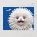 Search for fuzzy postcards Cute