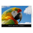 Search for parrot birthday Cute