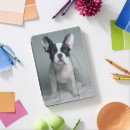 Search for french bulldog puppy ipad cases domestic animals