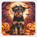 Search for halloween background stickers Pumpkins