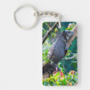 Search for resting key rings Nature