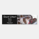 Search for litter bumper stickers Dog