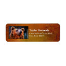 Search for black bear return address labels Nature