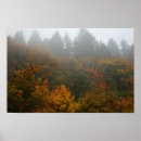 Search for autumn mist art Fog