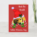 Search for cute golden retriever puppy christmas cards Dogs