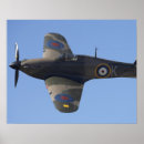 Search for warbirds posters Aircraft