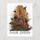 Search for irish postcards Dog