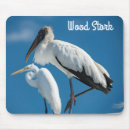 Search for stork electronics Nature