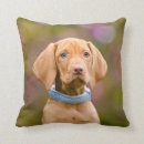 Search for vizsla cushions Pet
