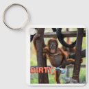 Search for dirty key rings Animal