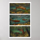 Search for brook trout art Nature