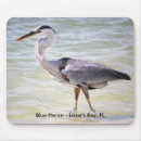 Search for blue heron mouse mats Florida