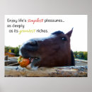 Search for pleasures art Horse