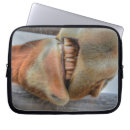 Search for muzzle Horse