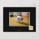 Search for graviti postcards I can has cheezburger