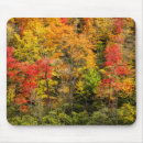Search for parkway mouse mats Ann collins