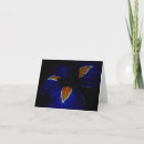 Search for emblem photography Flower