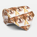 Search for english bulldog ties Pets