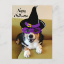 Search for cute corgi postcards Halloween