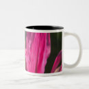 Search for nassau mugs Caribbean