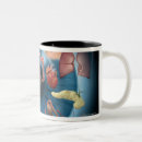 Search for human body mugs Medical