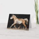 Search for bashkir Stallion
