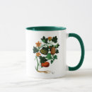 Search for squash mugs Vegetable