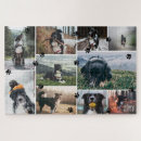 Search for pet photo puzzles Dog photos