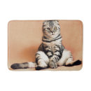 Search for photo bath mats Cat
