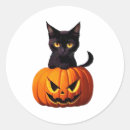 Search for kawaii black cat stickers Pumpkin