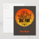 Search for big five postcards South africa