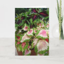 Search for coleus cards Nature