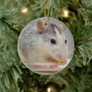 Search for pet rat christmas tree decorations Cute