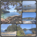 Search for north beach stickers Water