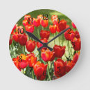 Search for field clocks Tulip