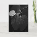 Search for leaf vein postcards Botany