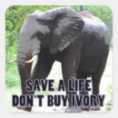 Search for save the elephants stickers Animals