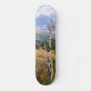 Search for views skateboards Mountains