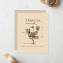 Search for science note cards Nature