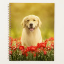 Search for smile planners Flowers