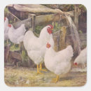 Search for vintage chicken stickers Cute