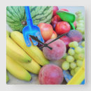 Search for food clocks Summer