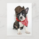 Search for affectionate postcards Background