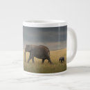 Search for elephant calf mugs Kenya africa